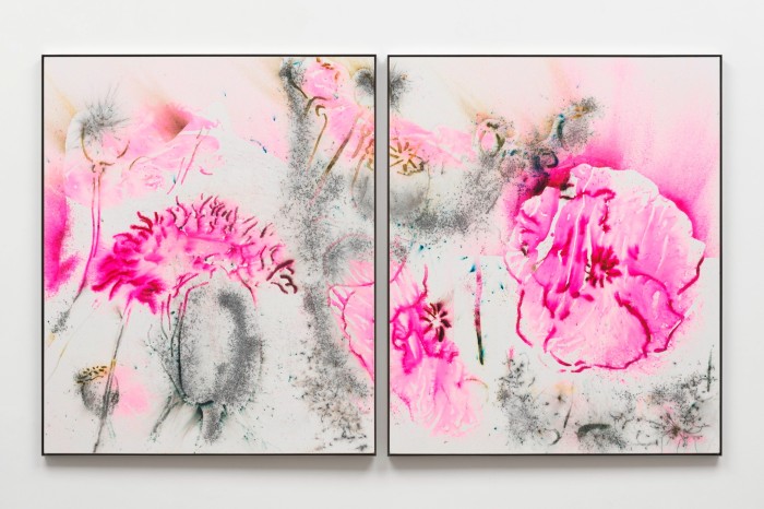 An illustration showing two panels with abstract pink poppy flowers and black gunpowder marks on a white background.