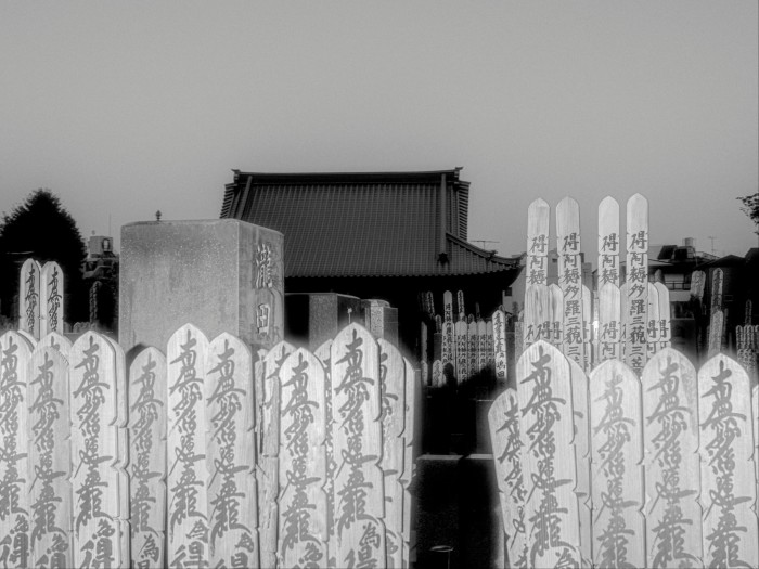 Rows of wooden grave markers with Japanese inscriptions stand in front of Myogyo-ji Temple.