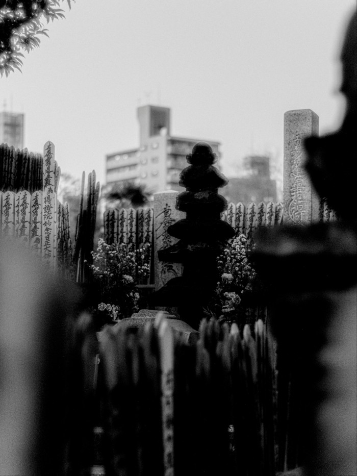 Gravestone and wooden prayer tablets at Myogyo-ji Temple cemetery, with flowers and a city building in the background.