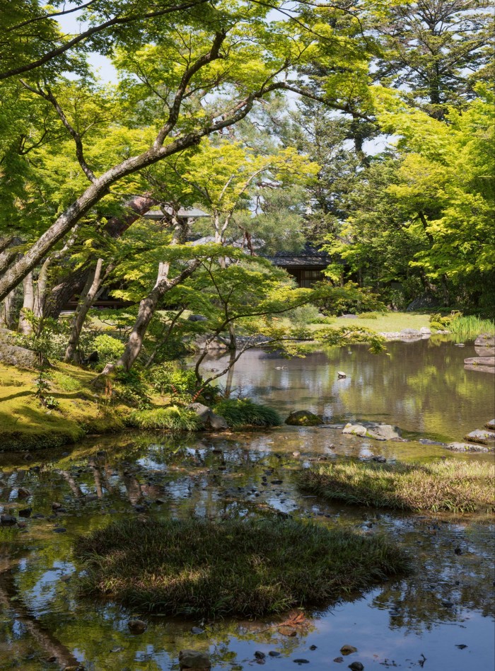 A tranquil Japanese garden with green trees reflected in a pond, surrounded by moss-covered rocks and shaded pathways.