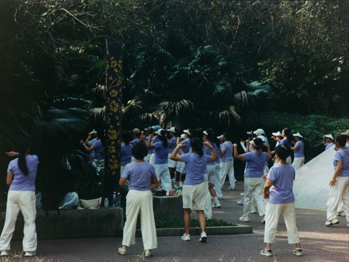 A group of women in lilac-coloured tops and white trousers dancing in the shade of some trees.