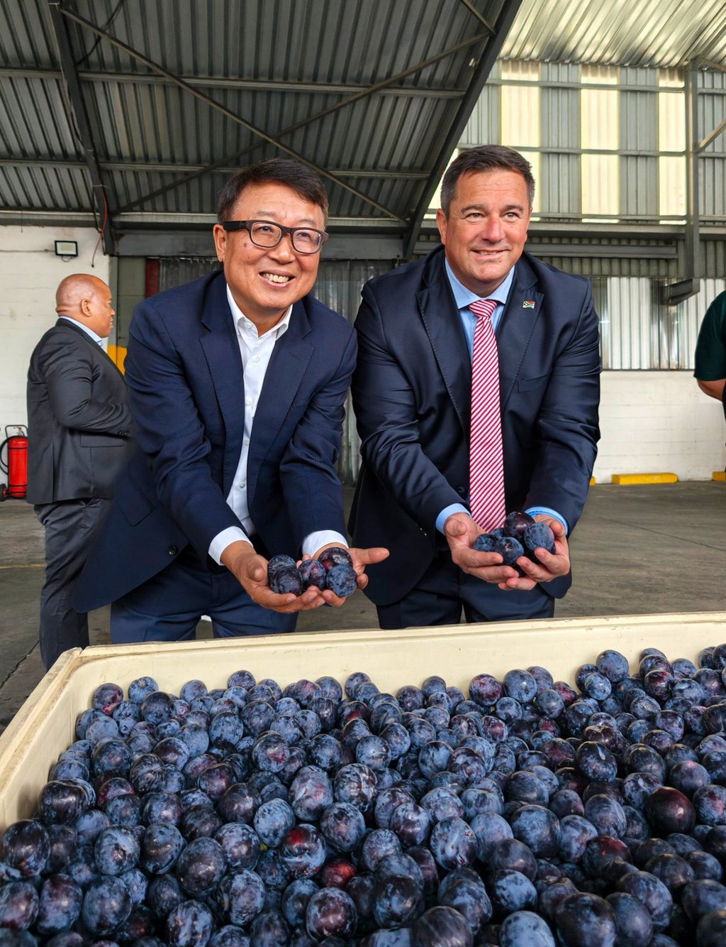 Chinese ambassador Wu Peng and South African Agriculture Minister John Steenhuisen in the town of Franschhoek on Wednesday with plums destined for China. It was the first shipment of stone fruit to be exported to the Asian nation under an agreement signed in October. Photo: Handout