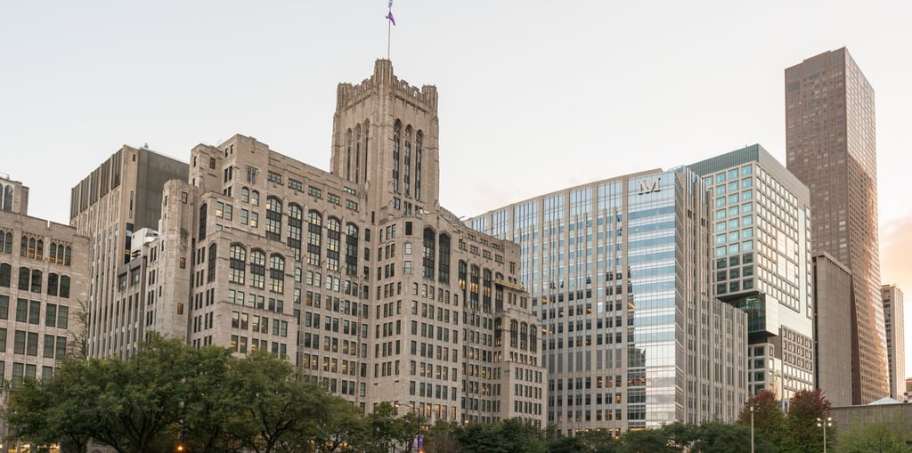 Chinese-American neuroscientist Jane Wu was a tenured faculty member at Northwestern University’s Feinberg School of Medicine. Photo: Northwestern University