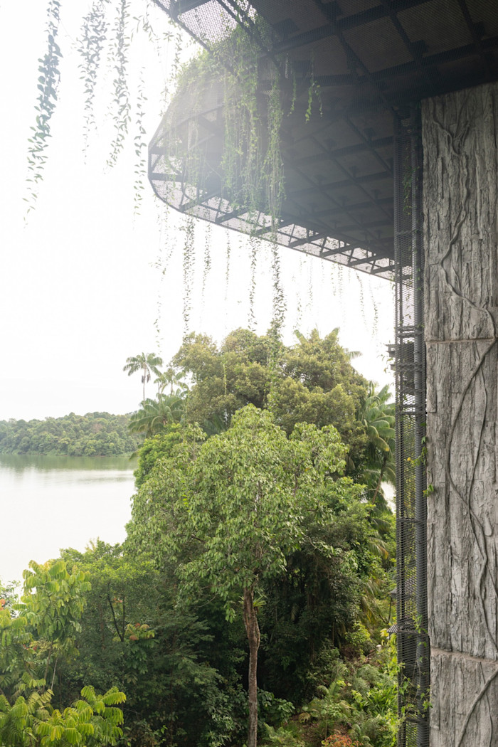 Part of a resort building covered in vines, overlooking dense forest and a body of water.