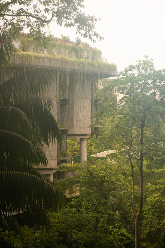 A building with a rooftop garden and green vines cascading down its sides is surrounded by dense rainforest vegetation.