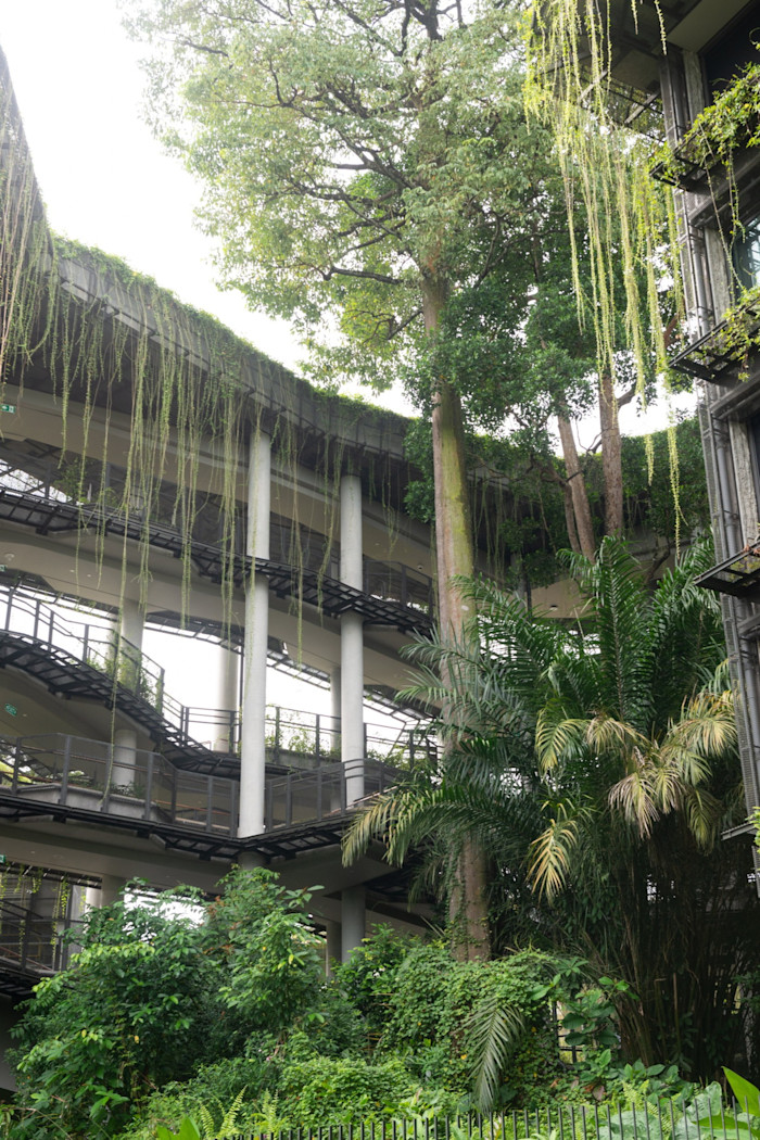 Multi-storey resort building with curving walkways, lush greenery, and vines hanging from the roof blending into dense tropical foliage.