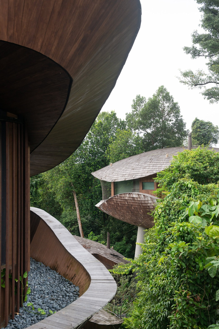 Curved wooden structures at a resort blend into dense green foliage, evoking a treehouse design.