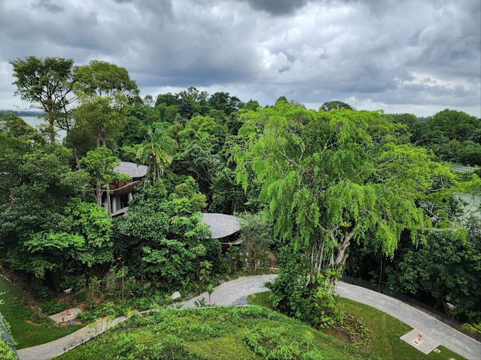 A winding path curves through dense rainforest greenery at a resort with villas nestled among the trees.