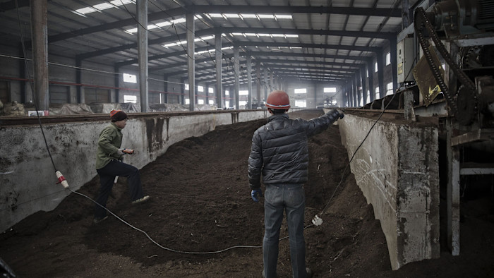 Two employees work beside a trough of fermenting manure inside a large industrial facility. One operates machinery while the other stands in the trough.