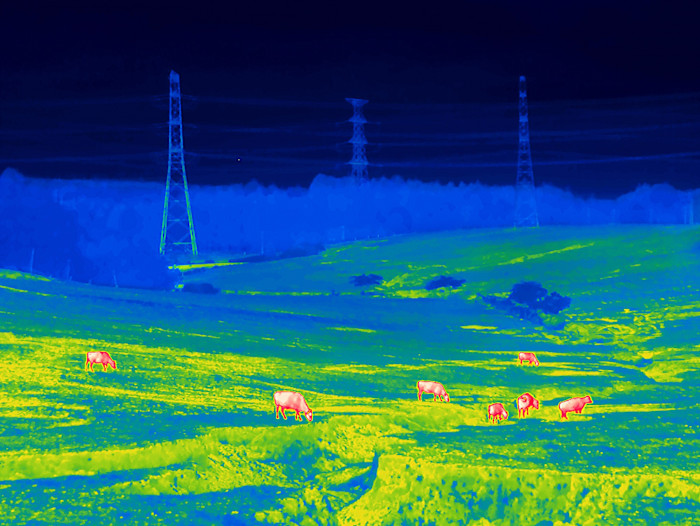 A village bathed in bright greens and blues, dotted with bright red cows, created by using thermal imaging. The idea is to evoke the invisible presence of radiation