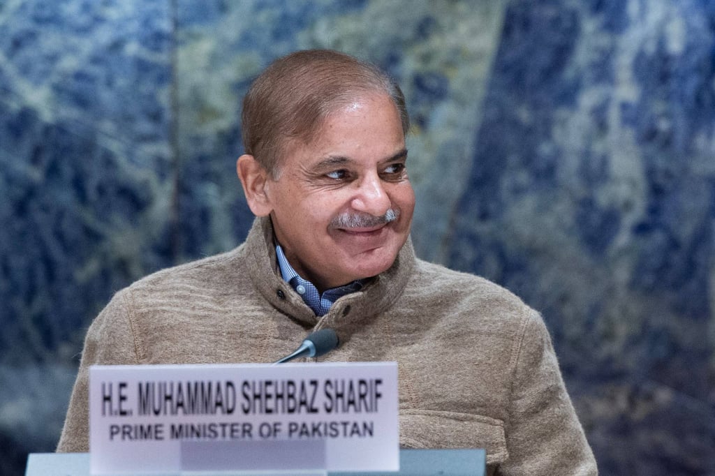 Pakistani Prime Minister Shehbaz Sharif. Photo: Violaine Martin/UN Photo/dpa Pakistani Prime Minister Shehbaz Sharif. Photo: Violaine Martin/UN Photo/dpa