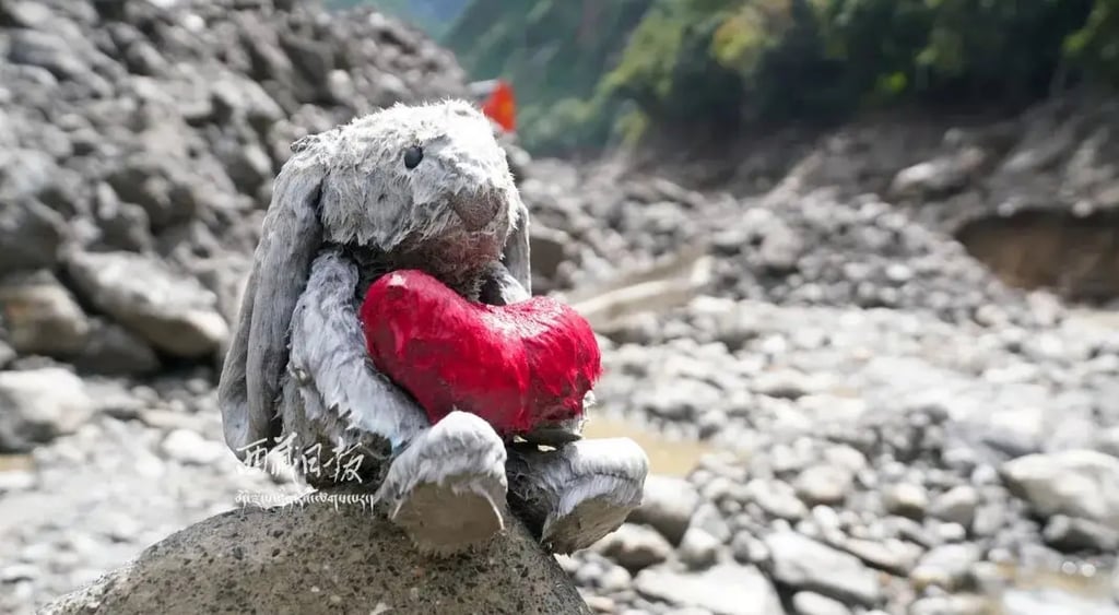A plush rabbit doll is spotted amid the vast, sombre ruins following the Nepal-China landslide and flood disaster. Photo: Sohu A plush rabbit doll is spotted amid the vast, sombre ruins following the Nepal-China landslide and flood disaster. Photo: Sohu